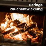 Brennholz Buche Palette 1RM 30 Cm - Kammergetrocknet, Sauber & Schädlingsfrei - Feuerholz 20% Restfeuchte Für Kamin, Grill, Ofen, Feuerschale - Buchenholz Raummeter Mit Lieferung