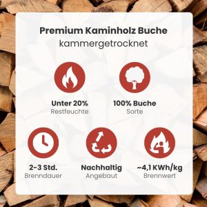Brennholz Buche Palette 1RM 30 Cm - Kammergetrocknet, Sauber & Schädlingsfrei - Feuerholz 20% Restfeuchte Für Kamin, Grill, Ofen, Feuerschale - Buchenholz Raummeter Mit Lieferung