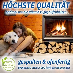Reines Birken Hartholz, Getrocknet Mit Optimaler Restfeuchte, Stück 25 Cm, Brennholz, Eine Palette